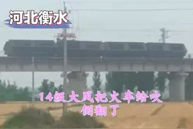 太吓人！河北衡水14级大风掀翻火车，折断电线杆，堪比电影画面图片