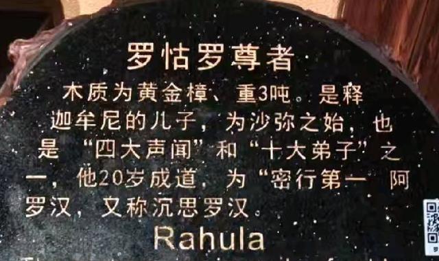 参观根宫佛国博物馆