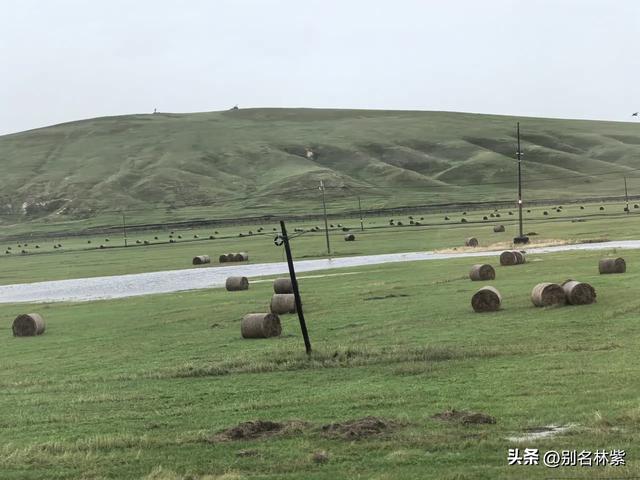从满洲里前往额尔古纳市，分享公共交通乘车和住宿攻略（九）