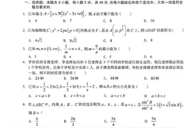 A10联盟2024届高三4月质量检测考试数学试题及答案图片