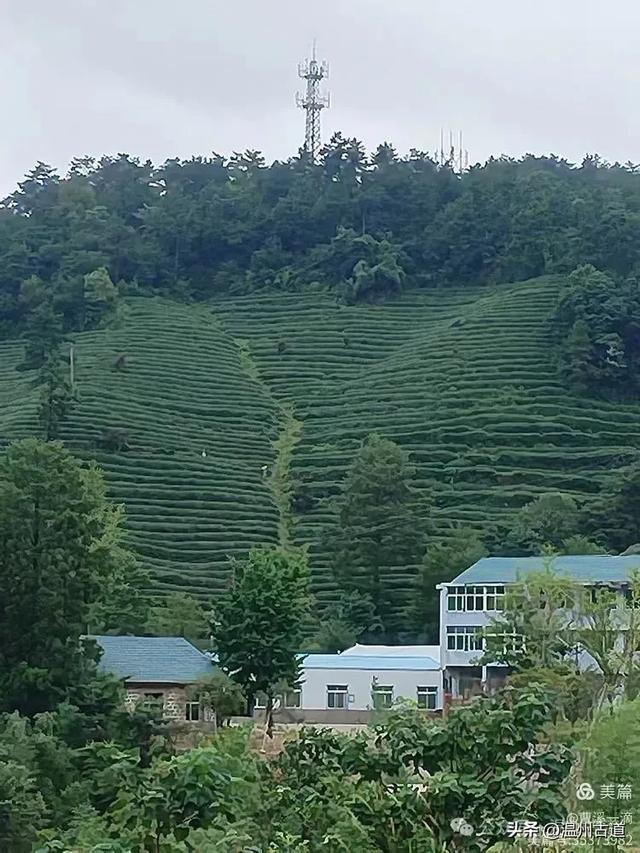 夏日闲逛大寺基，体会高山之上的凉意，处处有惊喜！