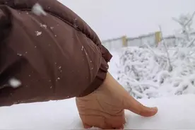 冲上热搜！郑州出现大暴雪！图片