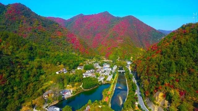 全省推介！杨凌金秋采摘休闲游入选