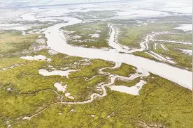 江苏盐城：绿色湿地文化绘就壮美生态画卷图片