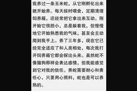 一条蛇从小悉心照料，养到大能养熟吗？看完网友分享醍醐灌顶！图片