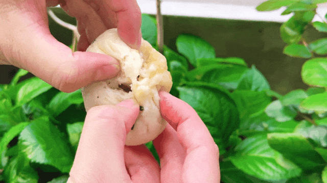 若你偏爱江南的温柔春色，就来常熟遇见美好