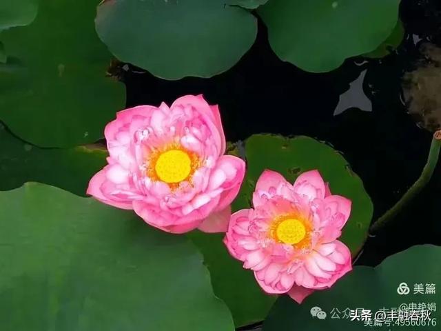 邂逅北京房山牛口峪湿地公园：工业废水的生态蝶变｜ 申艳娟