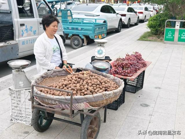 避暑胜地·康养宕昌｜夜逛宕昌：从舌尖到脚尖，游客乐不停