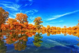 内蒙古县域旅游（十七）——额济纳旗图片