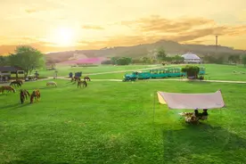 首个非遗春节，来武汉去哪玩？这份黄陂旅游攻略请收好图片