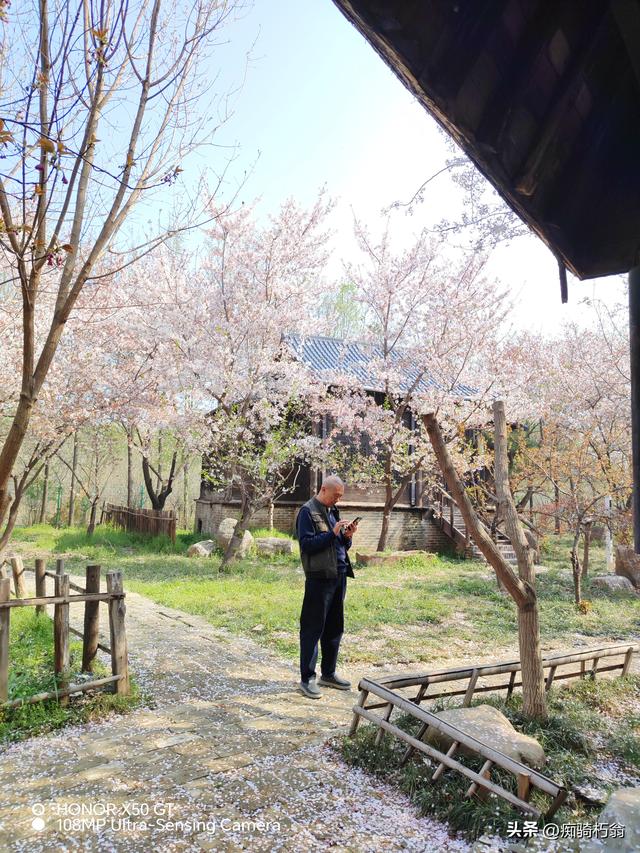 最美最妩媚，人间四月天