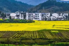 未查验不开工！河南农村建房新规：翻建老宅也需审批，4要点必看图片