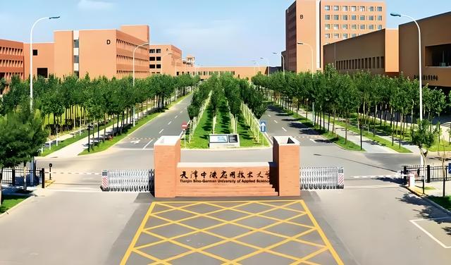 “93阅兵”女民兵王米佳：出身空姐，婆婆和母亲替她负重前行