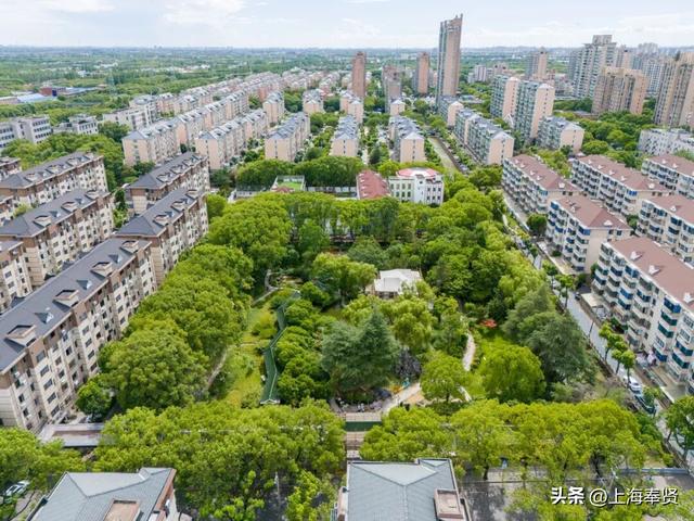 “无界”公园改造升级中……南桥这座30余年历史的公园即将蜕变！