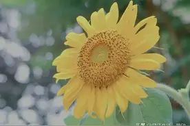 Ｂ型血人不容易生病吗？为什么被称之为“完美血型”？图片