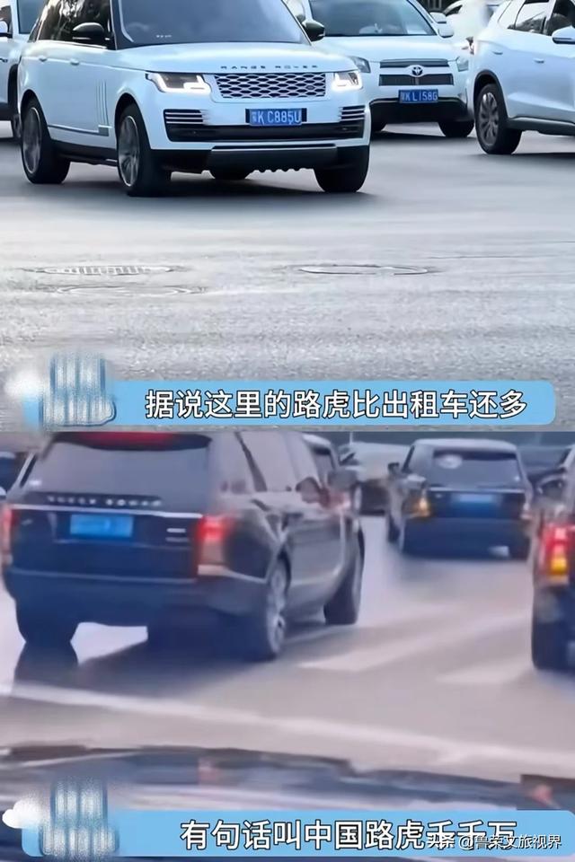 低调的财富绿洲:解锁鄂尔多斯的秘境之旅