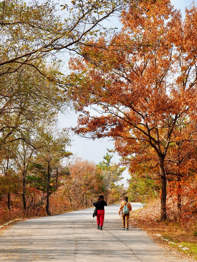 周末好去处丨免费打山泉水！烟台这条徒步秘境火了
