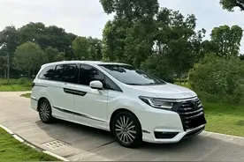 艾力绅问题一箩筐！图片