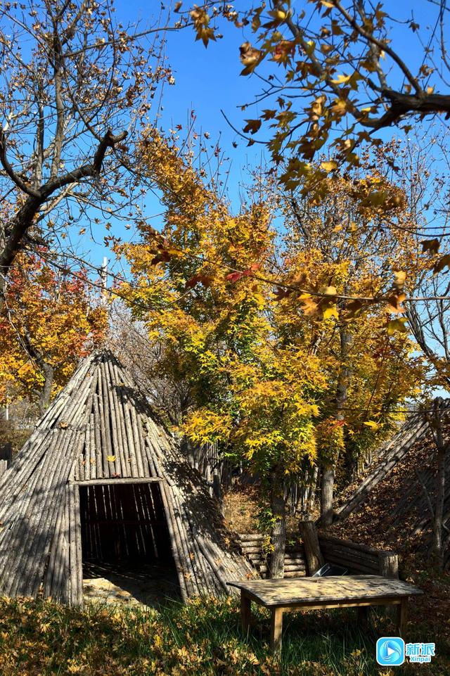 冬意初临 潍坊如诗如画