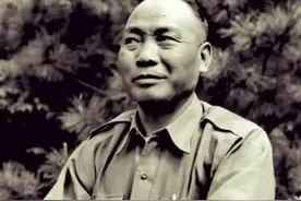 台儿庄战役中，汤恩伯选择伺机而动，是被逼无奈还是看透了局势?图片