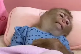 出现这几种表现，别以为正常！很可能是慢性鼻窦炎图片