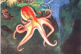 老课文：80后小学课本里的《海底世界》 源头之一可能来自这本书图片