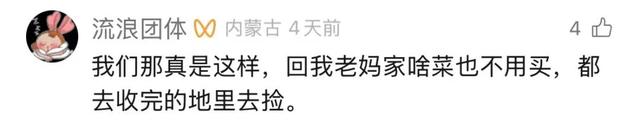 内蒙古“捡土豆”之后还有“隐藏款”？网友：明年组队去“进货”！