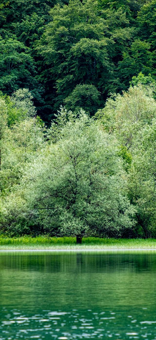 风墨壁纸 | 高级又不失优雅的山海手机4k风景壁纸