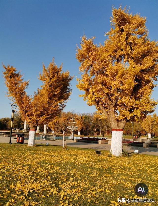 据我实际体验，冬天不宜自驾游