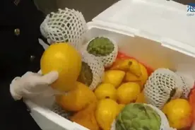 旅客托运释迦、莲雾等36公斤水果，海关发布：属禁止携带、邮寄进境物品图片