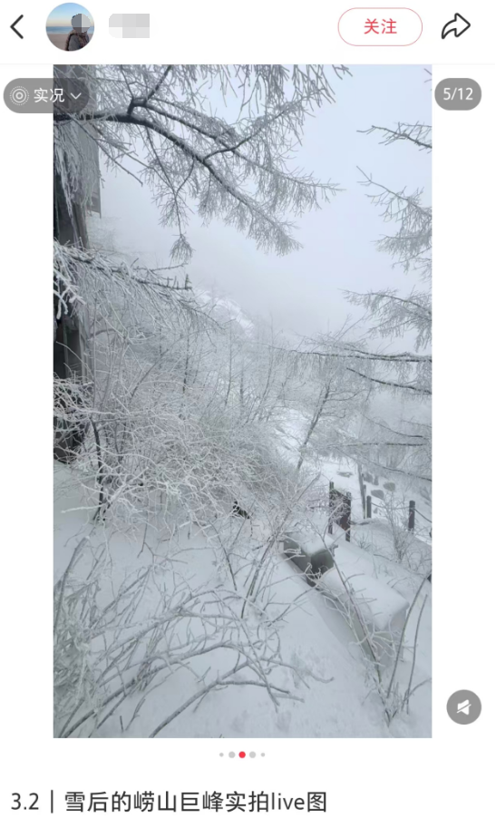 春天又想起来逞能了！今早，大批青岛人憋着想请假：领导，这里突然美得不像话，我能不能去打个卡，晚了怕它化了……