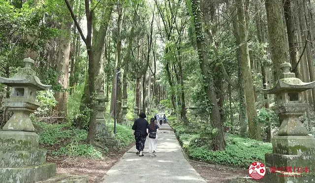 熊本处由行就乘坐Aso caldera line！车中解锁多处经典美景！