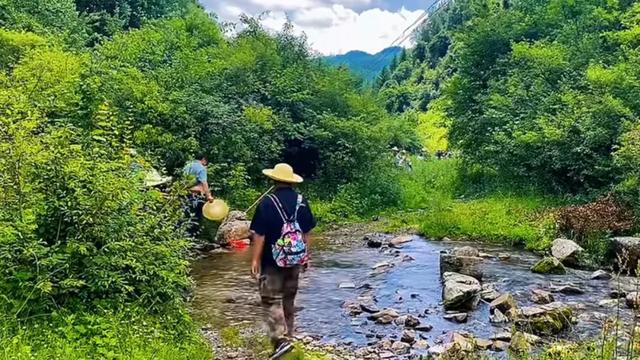 礼县文旅热力全开｜这个夏天，遍地是“爆款”