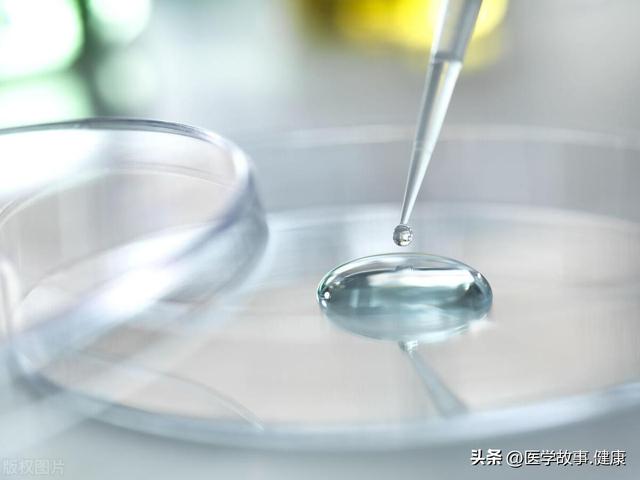 胶原蛋白肽的功效与作用 2026年服用胶原蛋白肽的功效与作用