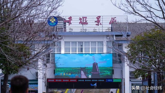 全球四大花海之一 兴化千垛油菜花迎来最美观赏时节