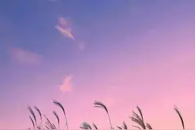 央企高管权力解析：副总VS部室总，谁主沉浮？图片