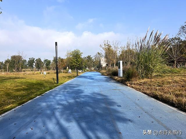 成都被冷落的彩林公园，惊艳无比，不要门票，地铁公交车直达！