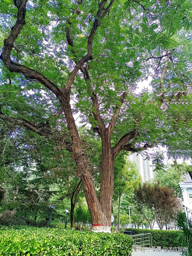 游邓(邓宝珊)家花园
