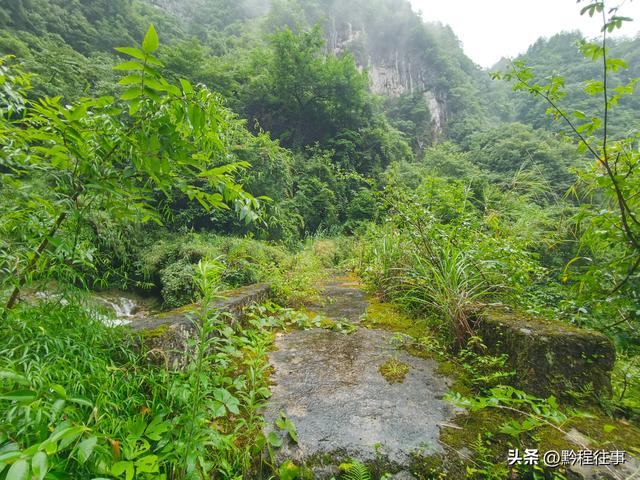 旧时古道，如今人迹罕至；峡谷中间，有一个美丽野瀑布
