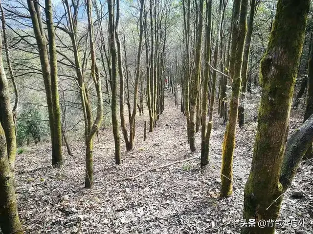 徒步“华东第一虐”——千八线：一场考验灵魂的登山朝圣