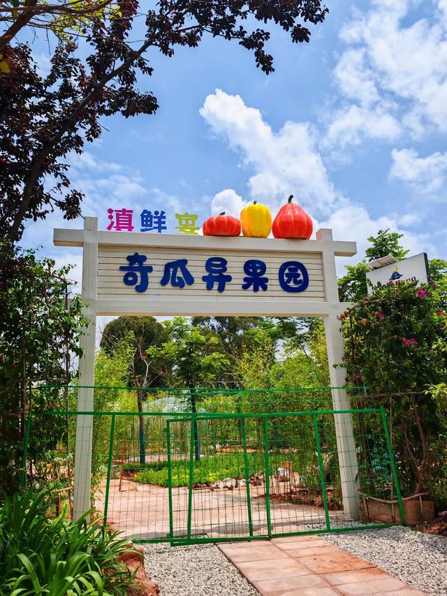 昆明双园奇遇——「莫奈花园」+「奇瓜异果园」