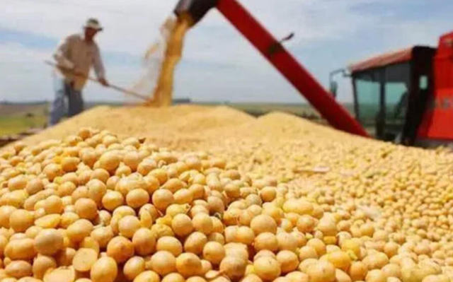 特朗普对华关税休战是“按下葫芦浮起瓢	”？农民喝彩，工人不乐意