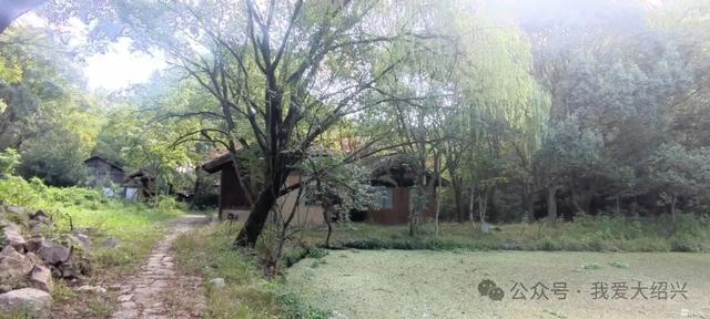 绍兴这个村怎么了?曾经的影视基地,全国知名!如今变成这样了