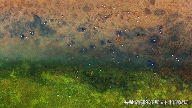 美到失语！秋天的七星湖，是上帝打翻的调色盘