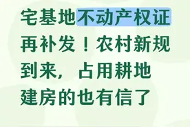农村宅基地不动产权证又补发啦！新规下，占耕地建房有新说法图片
