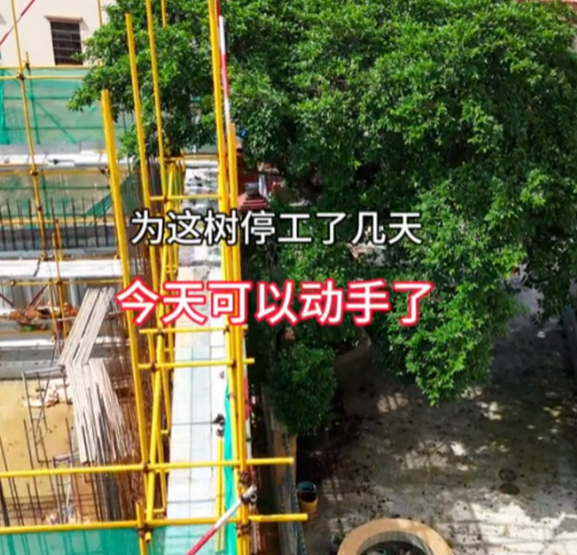 全红婵家盖房后续！邻居终于妥协，常年没人住，评论区风向反转