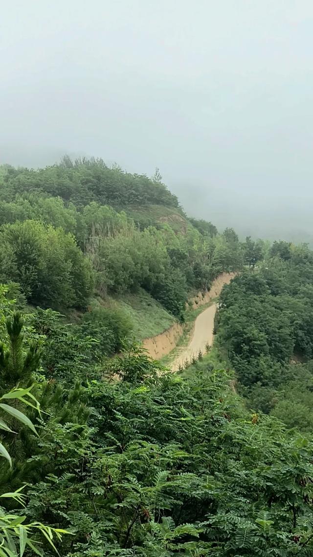 陇上行(二四)最美梯田在哪儿?南有元阳,北有庄浪!(8月4日)