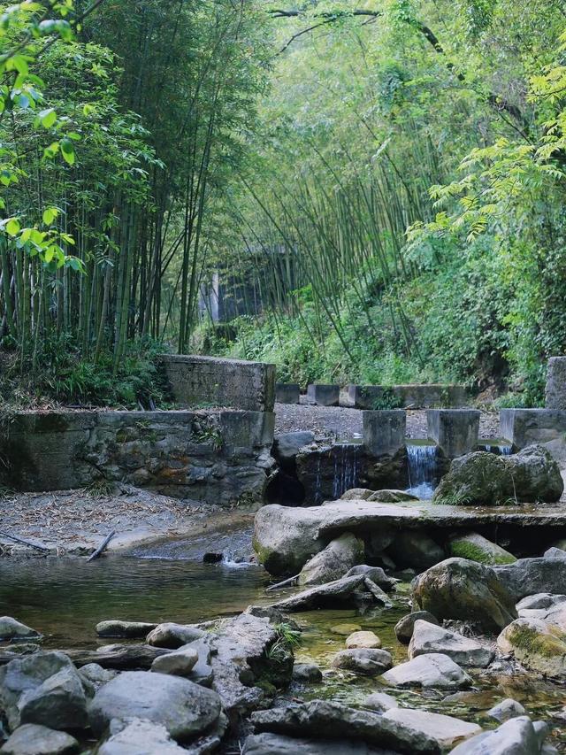 成都1h直达5000亩竹林，不费腿0门票，徒步挖笋玩水遛娃天花板！