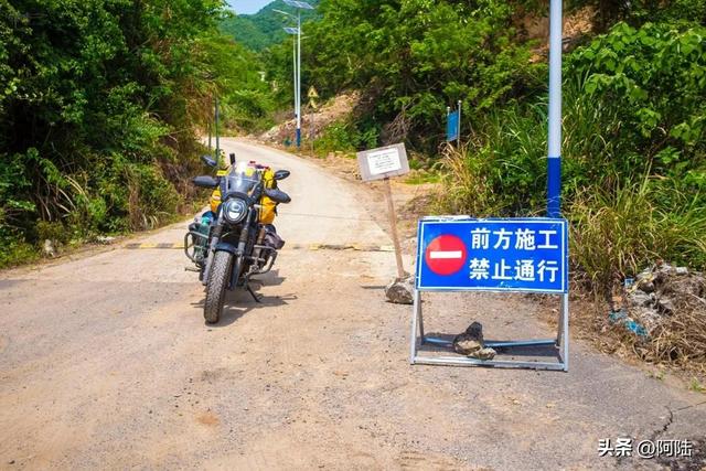 历经艰辛来到金庭观遗址，却只见一棵老树婆娑，新昌文旅赔我油钱