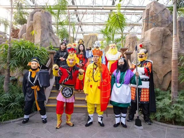 冬日奇遇开启！五洲植物乐园藏着超多惊喜！寻绿不跑空！12月营业时间新鲜出炉~